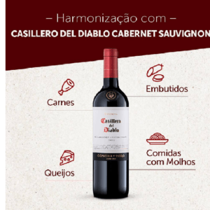 VINHO CHL CASILLERO 750ML