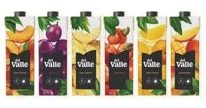 SUCO DEL VALLE 1L